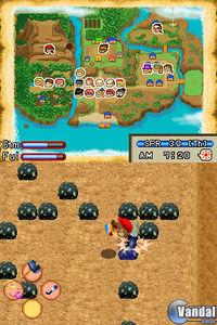 Imagen 23 de Harvest Moon: Island of Happiness para Nintendo DS