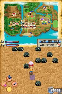 Imagen 22 de Harvest Moon: Island of Happiness para Nintendo DS