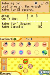 Imagen 41 de Harvest Moon: Island of Happiness para Nintendo DS