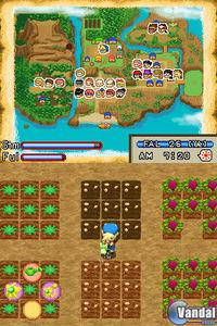 Imagen 40 de Harvest Moon: Island of Happiness para Nintendo DS