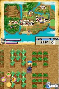 Natsume anuncia dos nuevos Harvest Moon