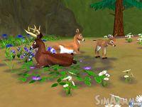 Nuevas im�genes de SimAnimals