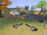 Nuevas im�genes de SimAnimals