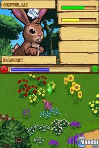Imagen 4 de SimAnimals para Nintendo DS