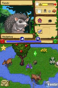 Imagen 14 de SimAnimals para Nintendo DS