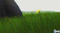 Flower PSN