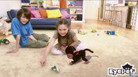 E3: Nuevas im�genes y v�deo de EyePet