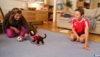 Primeras im�genes de EyePet con PlayStation Move