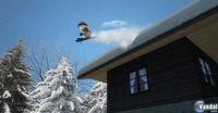  Primeras im�genes de Family Ski and Snowboard