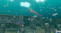 E3: Nuevas im�genes y primer v�deo de Endless Ocean 2