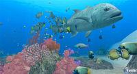E3: Nuevas im�genes y primer v�deo de Endless Ocean 2