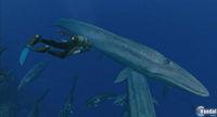 E3: Nuevas im�genes y primer v�deo de Endless Ocean 2