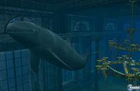 Imagen 31 de Endless Ocean 2: Adventures Of The Deep para Wii