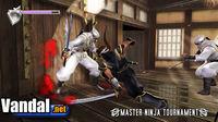 Imagen 63 de Ninja Gaiden para Xbox