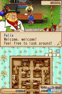 Imagen 19 de Harvest Moon: Grand Bazaar para Nintendo DS