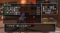 Dragon Quest X se deja ver en nuevas im�genes