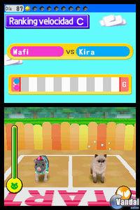 My Pet Shop