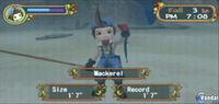 Imagen 12 de Harvest Moon: Hero of Leaf Valley para PSP