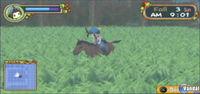 Imagen 15 de Harvest Moon: Hero of Leaf Valley para PSP