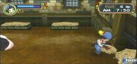 Imagen 18 de Harvest Moon: Hero of Leaf Valley para PSP