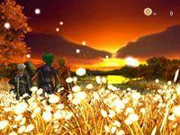 Imagen Evergrace 2
