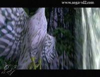 Imagen 118 de ShenMue 2 para Dreamcast