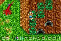 Imagen 6 de Banjo Kazooie: La Venganza de Grunty para Game Boy Advance