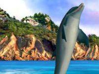 Pantalla Ecco the Dolphin