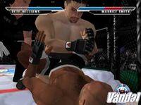 Ultimate Fighting Championship