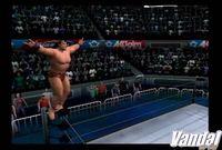 Imagen 5 de Legends of Wrestling para GameCube