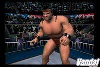 Imagen 6 de Legends of Wrestling para GameCube