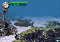 Pantalla Everblue