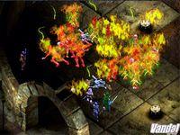Imagen Icewind Dale