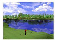 Imagen Tiger Woods Pga Tour 2001