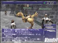 Pantalla Final Fantasy XI