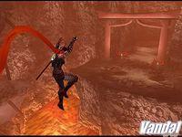 Imagen Shinobi