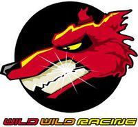 Imagen 1 de Wild Wild Racing para PlayStation 2