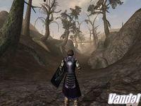 Imagen 10 de The Elder Scrolls III: Morrowind para Xbox