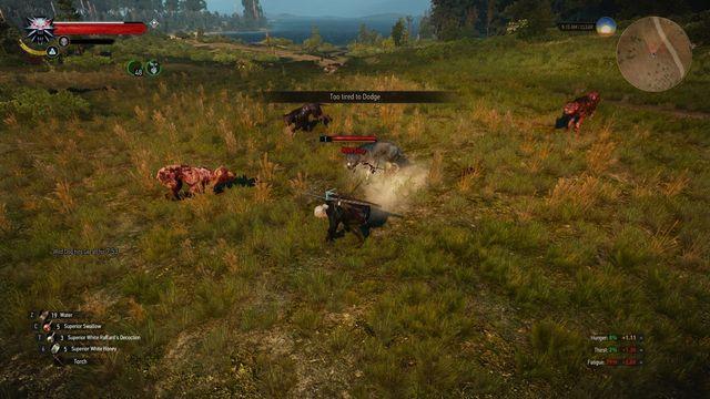 This mod for The Witcher 3 Geralt has basic needs