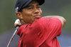 Lanzado Tiger Woods PGA Tour Online