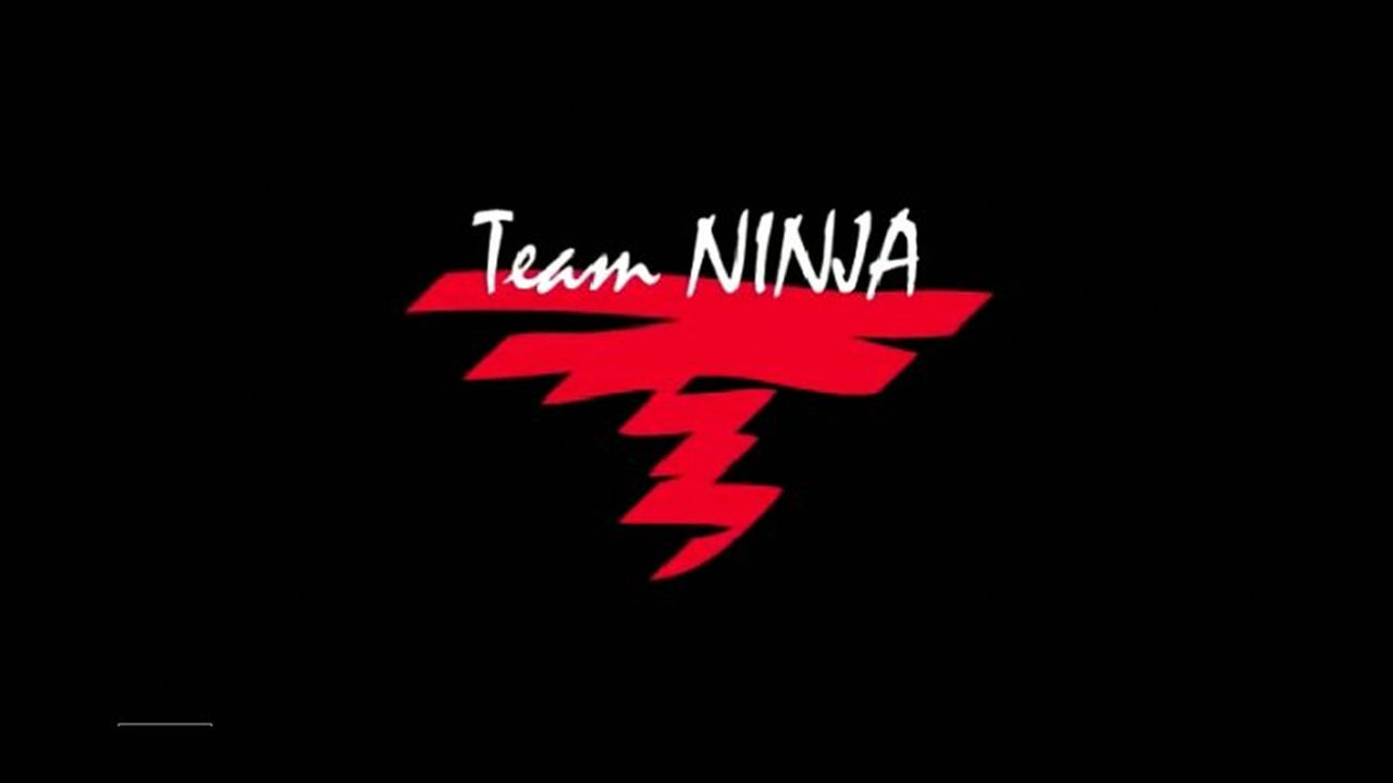 Team ninja проекты