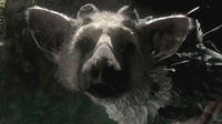 The Last Guardian podría estar en el E3 según un prestigioso periódico británico
