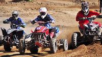THQ lanza MX vs. ATV Alive