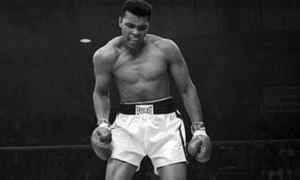 Noticia Rocky Balboa se luce en un nuevo tr�iler de Creed: Rise to Glory para PS VR
