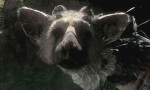 Noticia Yoshida: 'The Last Guardian no est� en pausa, sigue en activo desarrollo'
