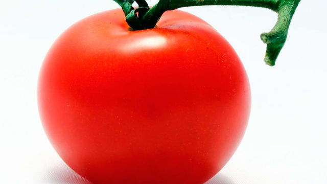 La Tomatina llega a MapleStory
