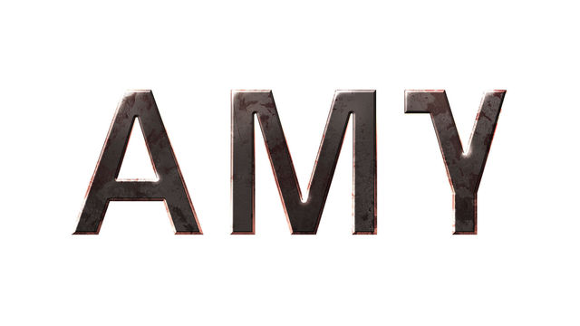 Los creadores de Amy se defienden de las críticas