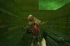 Noticia Nuevas imágenes de Dementium II