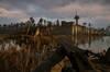 Noticia STALKER 2 recibirá un parche esta semana que solucionará numerosos errores en Xbox y PC