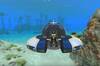 Noticia Puedes disfrutar de Subnautica en modo cooperativo gracias a este mod